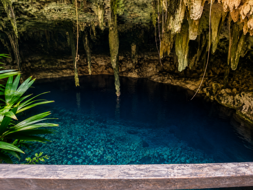 Clear turquoise water inside a Yucatán cenote near Mérida, surrounded by limestone walls and hanging roots illuminated by morning sunlight.